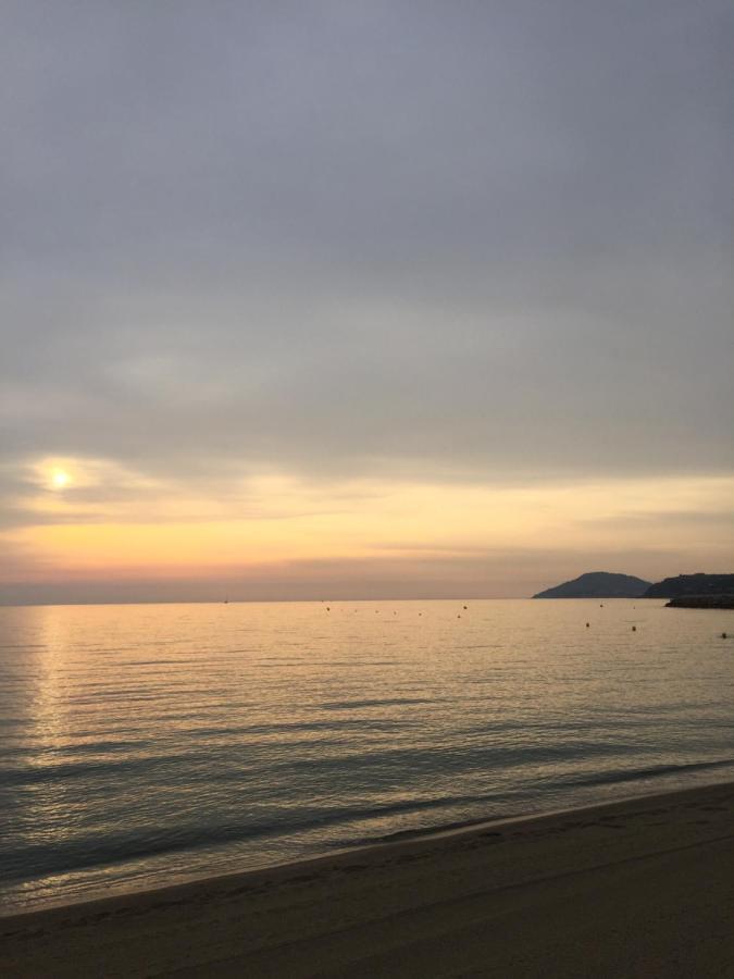 Les Pieds Dans Le Sable Apartment Argelès-sur-Mer Exterior foto